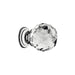Harley, Zinc Alloy and Crystal Glass, Knob - Foxstow